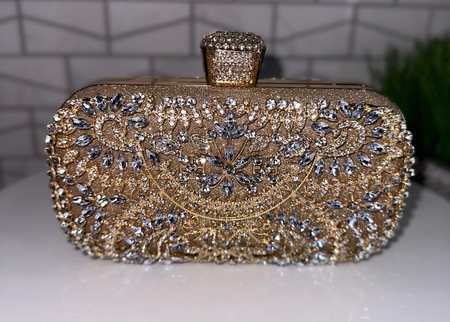Zina Evening Clutch Purse