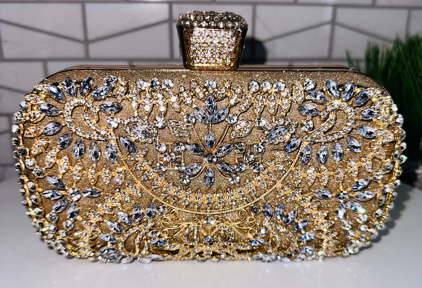 Zina Evening Clutch Purse