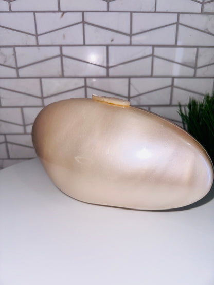 Pearl Acrylic Evening Luxury Purse